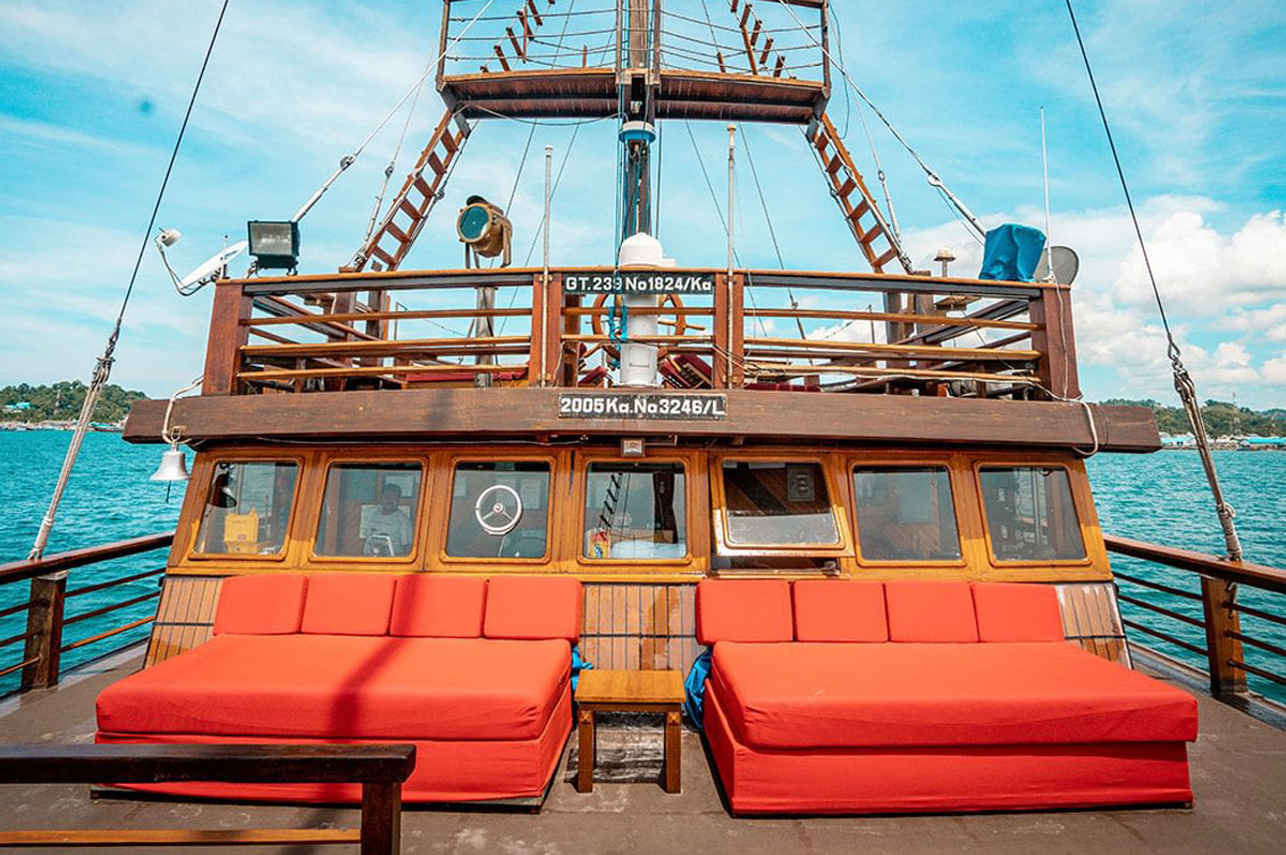 Sea Safari 8