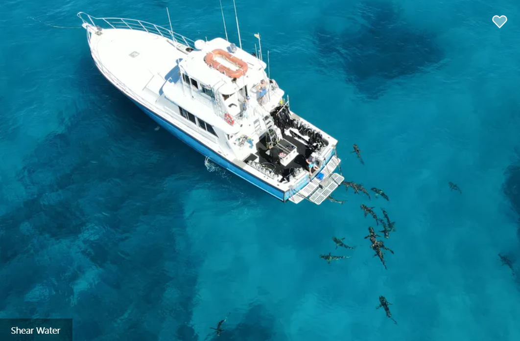 Shear Water Liveaboard