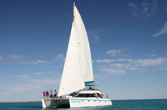 Shore Thing Catamaran