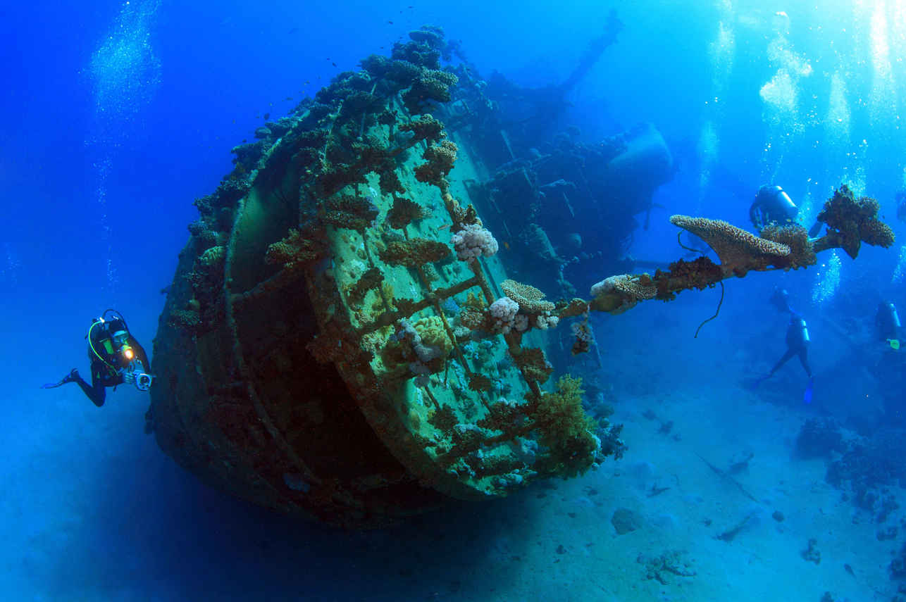 Silky Liveaboard