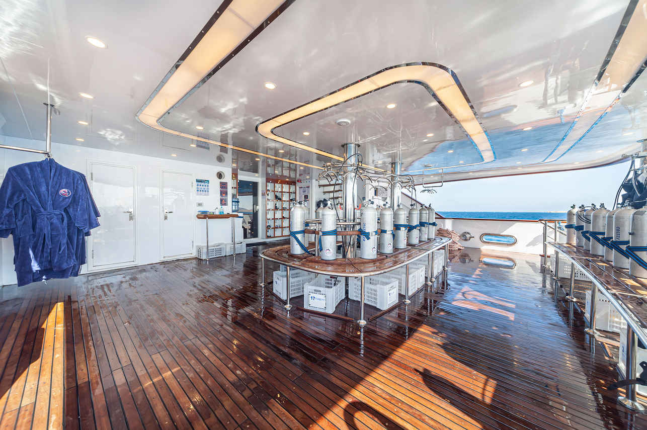 Silky Liveaboard
