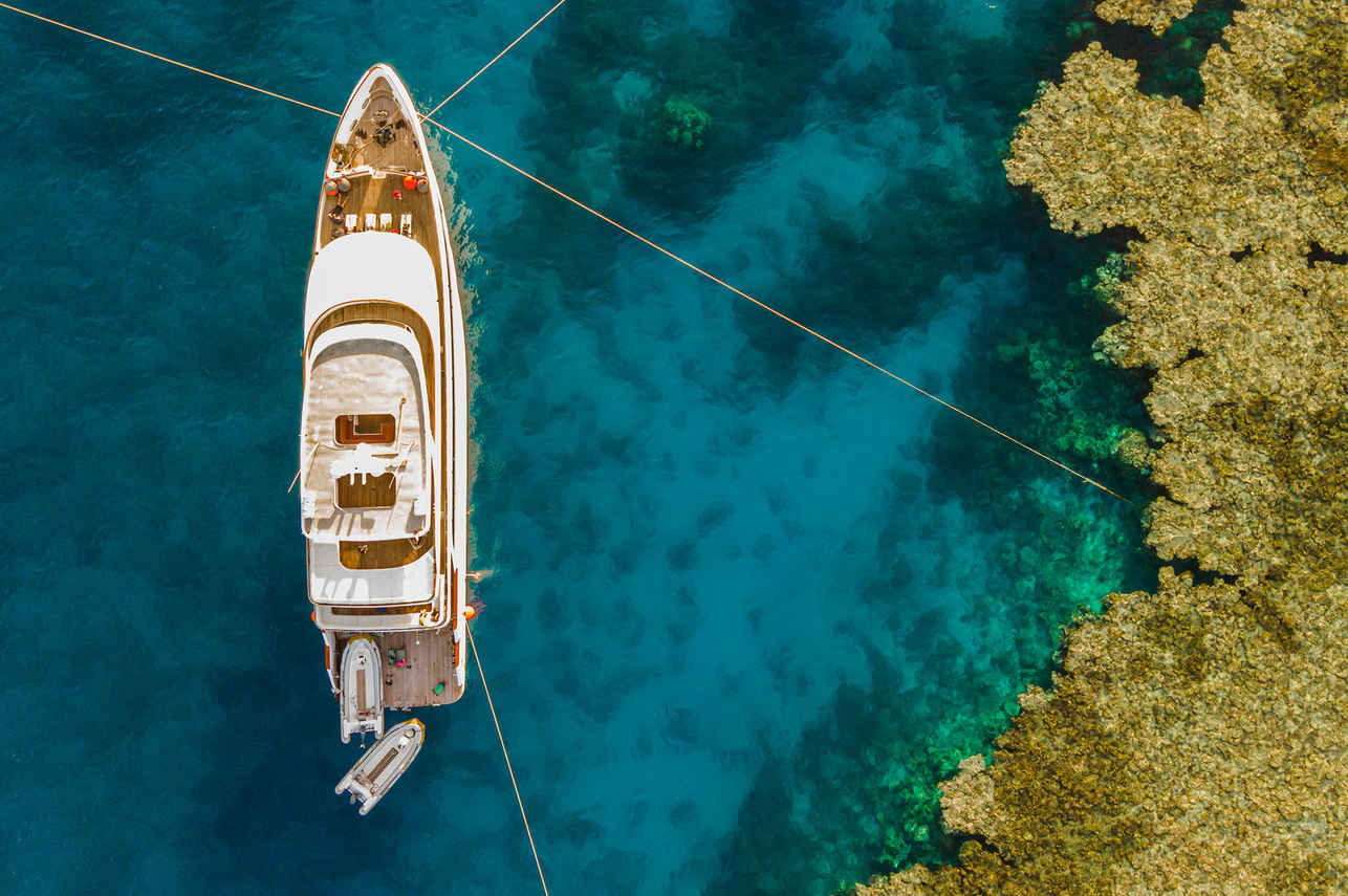 Silky Liveaboard