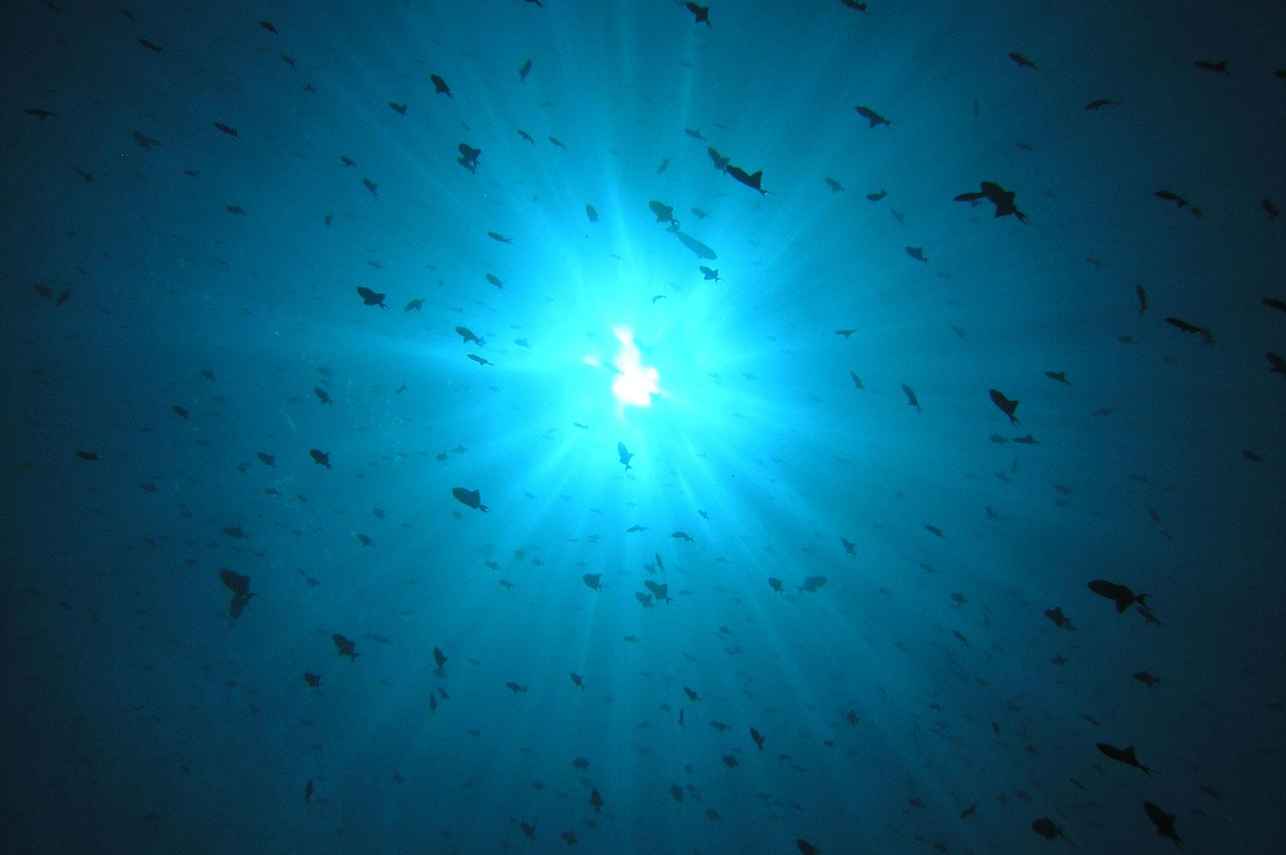 Sunshine