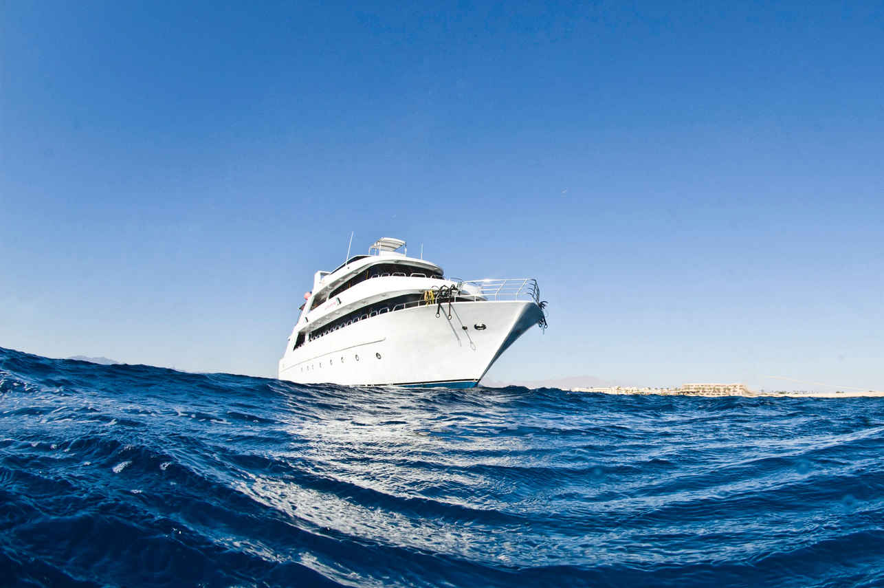 Sunshine Liveaboard