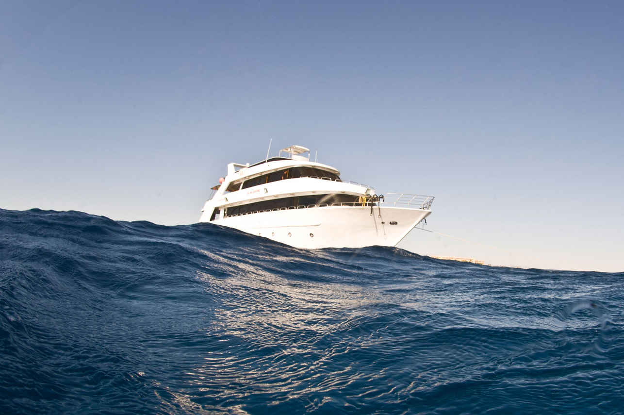 Sunshine Liveaboard