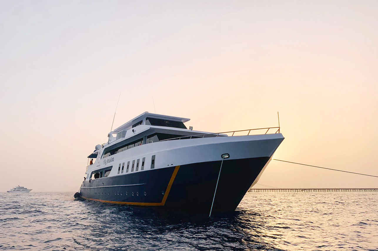 Titan Liveaboard