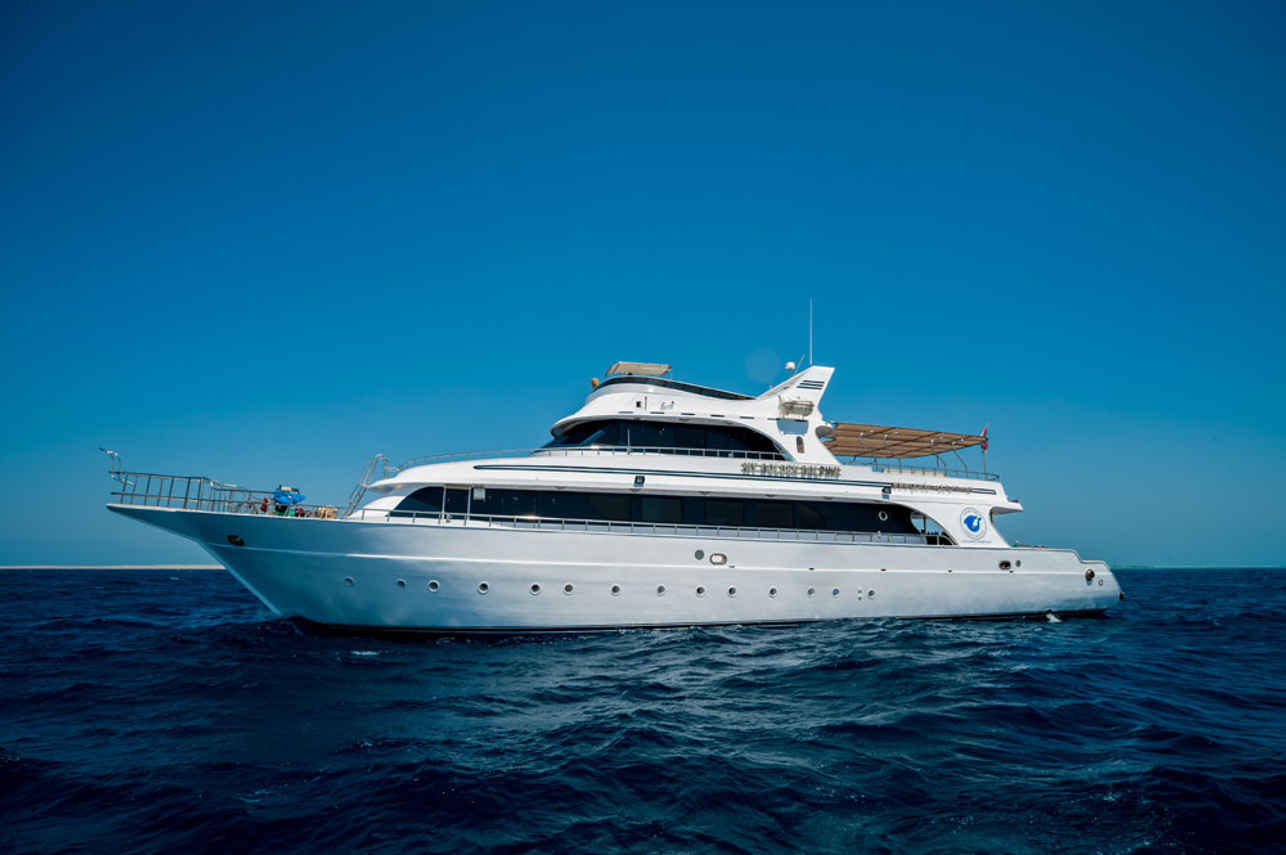 Golden Dolphin