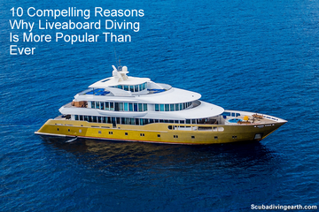 10 Compelling Reasons Why Liveaboard Diving Is More Popular Than Ever small
