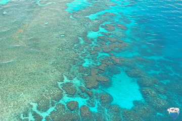 2 day liveaboard Great Barrier Reef
