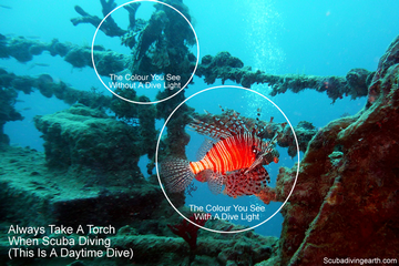 Always take a dive torch or light on every scuba dive small