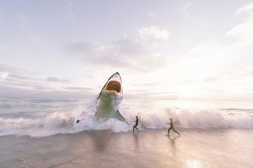 Great White Shark Attack Mediterranean - great white shark in the surf