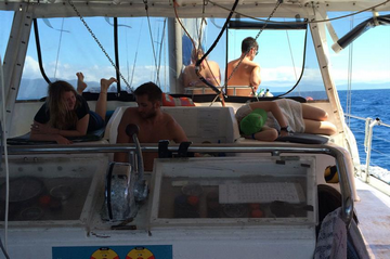 Australia Rum Runner liveaboard review smaller