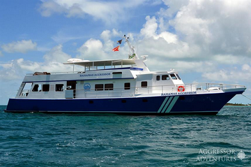 Bahamas Aggressor Liveaboard Review - One of the best small