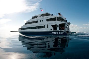 Bahamas Aqua Cat Liveaboard Reviews - Best Luxury Rate Dive Boat small