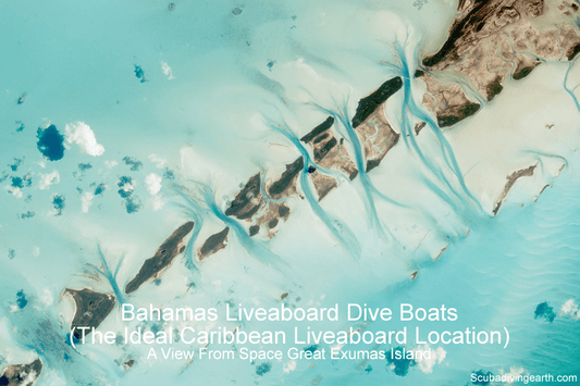 The Best Bahamas Liveaboard Dive Boats (Caribbean Liveaboard Cruises)