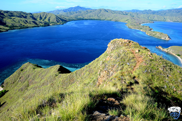 Best budget diving liveaboard Labuan Bajo