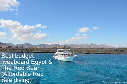 Best budget liveaboards Egypt & The Red Sea (Affordable Red Sea diving)