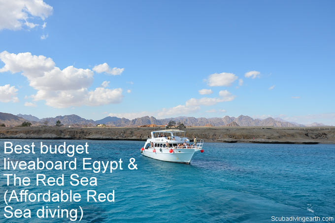 Best budget liveaboards Egypt & The Red Sea (Affordable Red Sea diving)