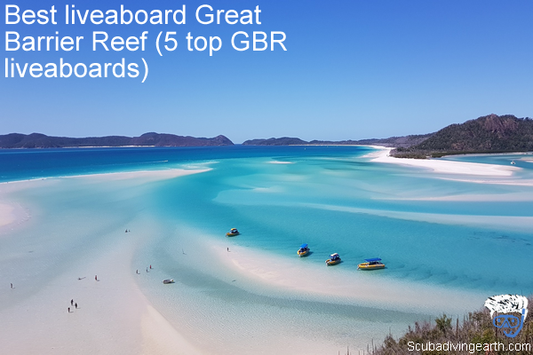 Best Liveaboard Great Barrier Reef (5 Best Reviewed GBR Liveaboards)