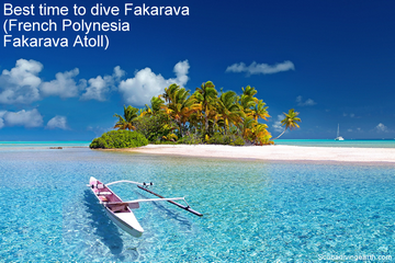 Best time to dive Fakarava - French Polynesia Fakarava Atoll small