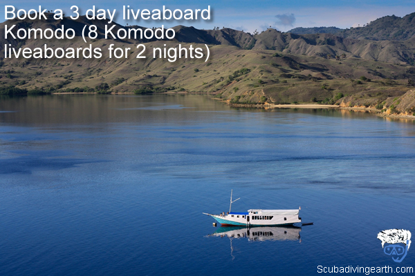 What Is The Best Time Of Year To Scuba Dive Komodo