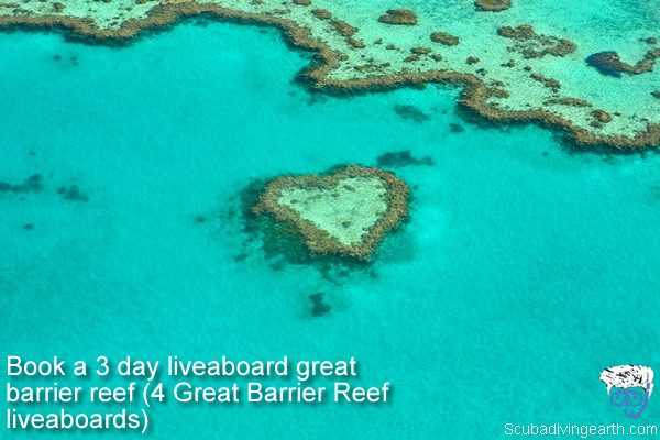 Book a 3 day liveaboard great barrier reef