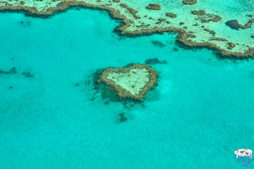 Book a 3 day liveaboard great barrier reef