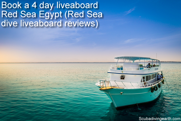 Book Red Sea Liveaboard 4 Days (10 Red Sea Dive Liveaboard Reviews)