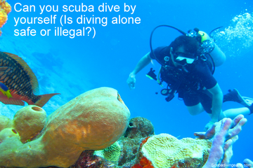 Can you scuba dive by yourself - Is diving alone safe or illegal small