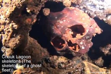 Chuuk Lagoon skeletons - The skeletons of a ghost fleet small