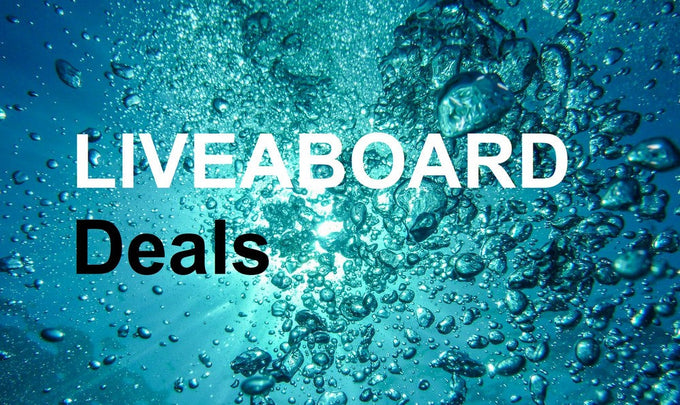 Discounted Liveaboards Offers & Last Minute Deals