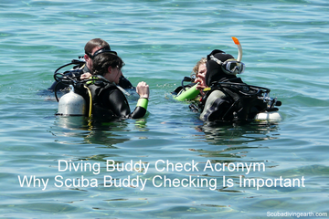 Diving Buddy Check Acronym - Why Scuba Buddy Checking Is Important small