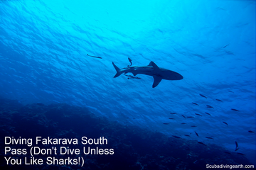 Diving Fakarava South Pass - Don't Dive Unless You Like Sharks small