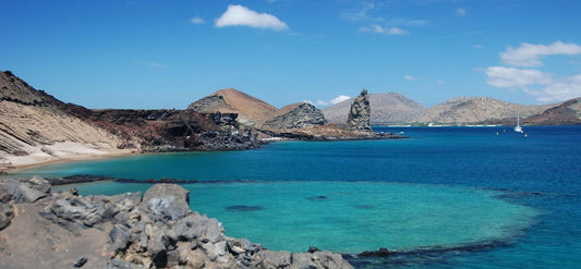 Best discounted liveaboard deals Galapagos