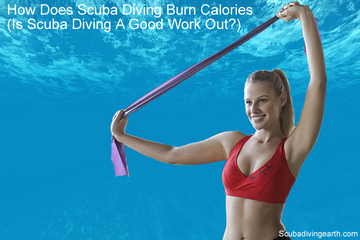 How Does Scuba Diving Burn Calories Is Scuba Diving A Good Work Out small