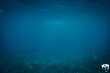 How deep can you dive before you have to decompress