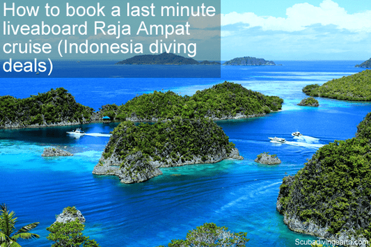 How to book a last minute liveaboard Raja Ampat cruise - Indonesia diving deals