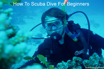 How to scuba dive for beginners small