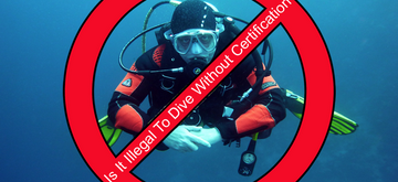 Is It Illegal To Dive Without Certification small