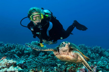 Diver with sea turtle - Liveaboard Diving in Hawaii small