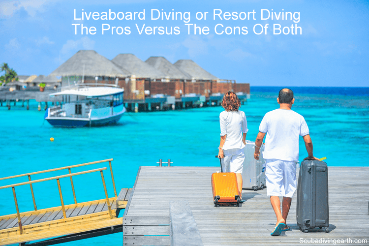 Liveaboard vs Resort Diving (The Pros Versus The Cons Of Both)