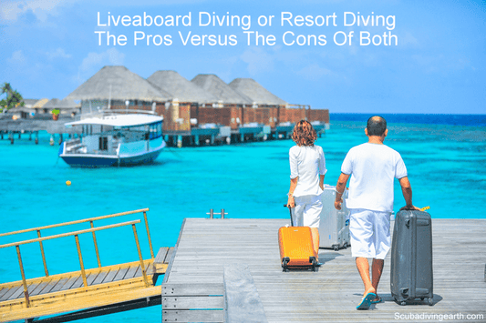 Liveaboard vs Resort Diving (The Pros Versus The Cons Of Both)