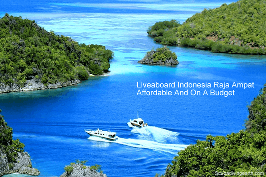 9 Affordable Indonesian Raja Ampat liveaboards (Budget Raja Ampat Diving)