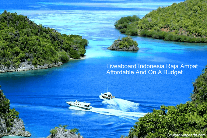 9 Affordable Indonesian Raja Ampat liveaboards (Budget Raja Ampat Diving)