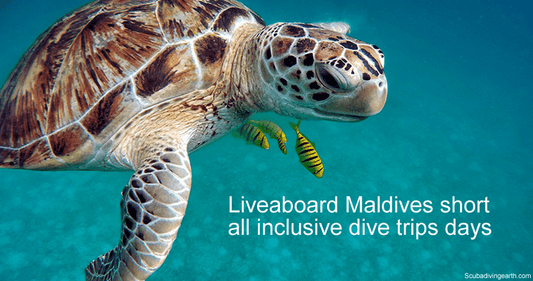 Liveaboard Maldives short all inclusive dive trips days - Liveaboard Maldives 3 days and 5 days