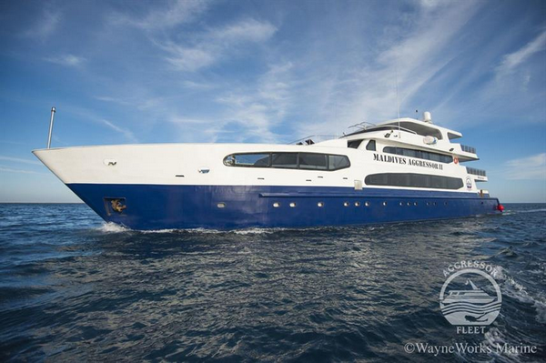 Maldives Aggressor II liveaboard review small - Maldives liveaboard diving for beginners