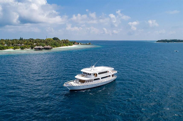 Maldives Blue Shark One liveaboard review small