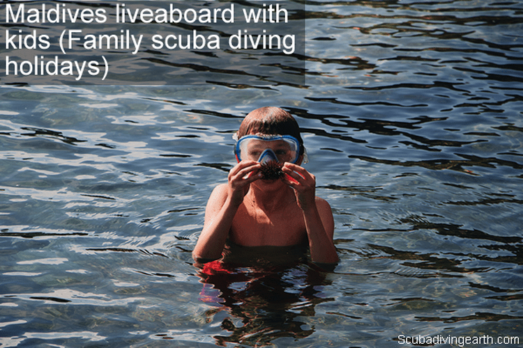 Maldives Liveaboard With Kids (Family Scuba Diving Holidays)