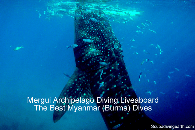 Mergui Archipelago Diving Liveaboard (The Best Burma Dives)