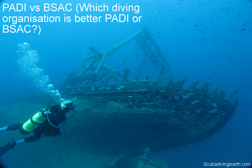 PADI vs BSAC - Which diving organisation is better PADI or BSAC